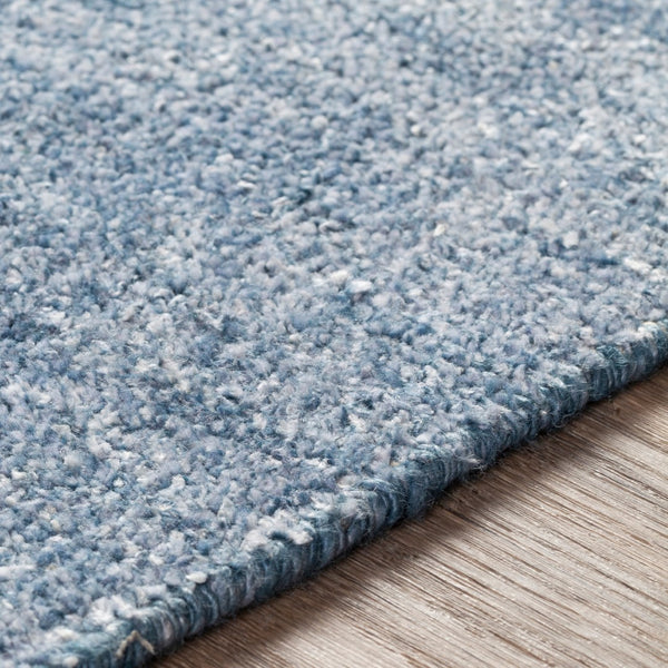Surya Calm Area Rug 2' X 3' - Hand Woven Viscose Beauty, Modern Design For Timeless Home Decor Style Denim Viscose Cam2304-23