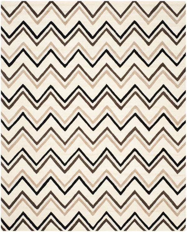 Safavieh Cambridge 581 Hand Tufted  Rug Ivory / Black CAM581B-26