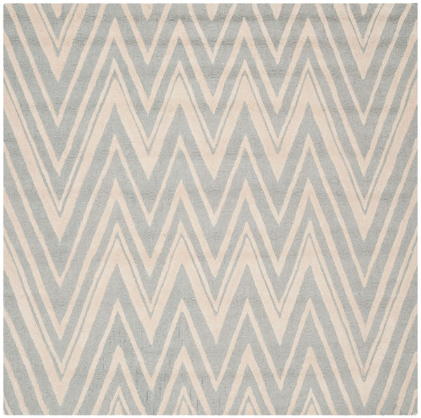 Safavieh Cambridge 711 Hand Tufted  Rug Grey / Ivory CAM711G-4SQ