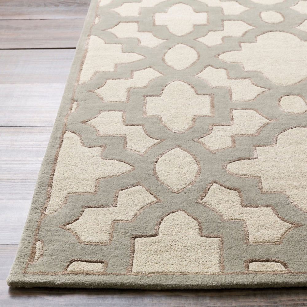 Surya Modern Classics Hand Tufted Wool Viscose Area Rug High Pile Living Room Accent CAN2041-811