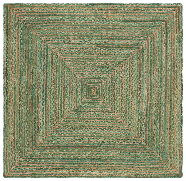 Safavieh Cape Cod 202 Hand Woven  Rug Green / Natural 2'-3" x 4' RECTANGLE