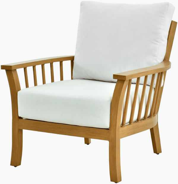 Surya Cape Town Artisan Accent Chair Hand Painted Aluminum Base Uv Resistant Acrylic Seat CAPE001-323532