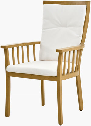 Surya Cape Town Artisan Hand-painted Aluminum Dining Chair for Patio or Casual Indoor Use CAPE003-402625