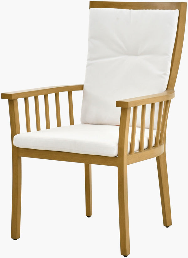 Surya Cape Town Artisan Hand-painted Aluminum Dining Chair for Patio or Casual Indoor Use CAPE003-402625