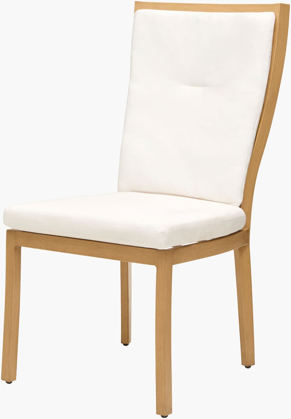 Surya Cape Town Artisan Hand-painted Aluminum Dining Chair Acrylic Upholstered Indoor Patio CAPE008-402621