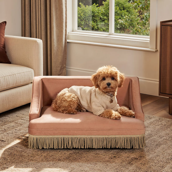 English Elm Duchess Regency Tufted Pet Sofa with Fringe Skirt Velvet Upholstery for Small Dogs Orange B2719P479029