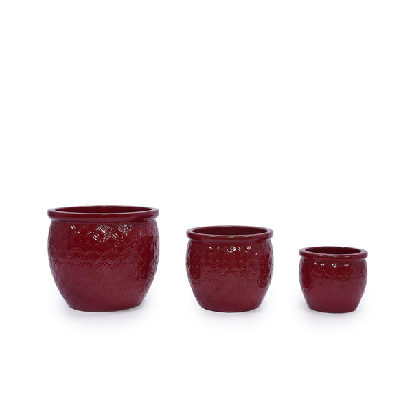 English Elm Set Of 3 Ceramic Flowerpots - Artisan Modern Planters For Garden, Patio & Windowsill Decor! W3273P321489-GIGA