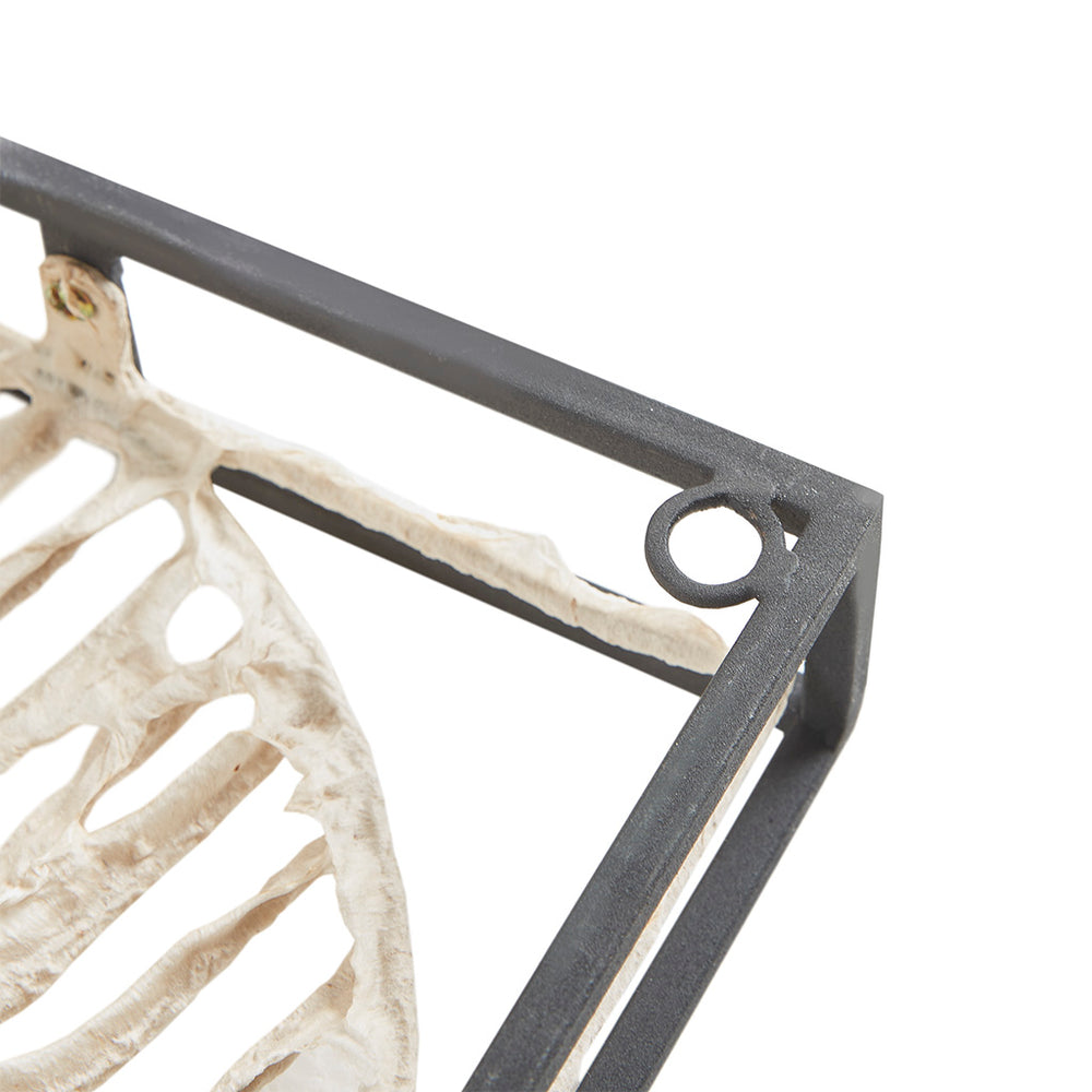 JLA Home Madison Park - Metal Madison Park Paper Cloaked Leaves Framed Decor Panel 32"x16" — Slim Metal Frame, Textured Natural Leaf Art for Gallery Walls MP95B-0224