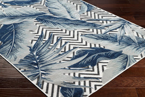 Livabliss Cabo Flatweave Polypropylene Rug Turkish Woven Coastal Style for Entryway or Patio CBO2305-2239