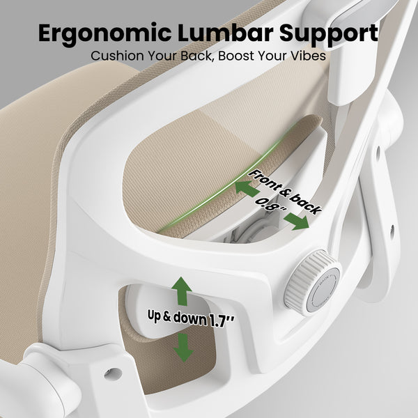 English Elm Ergonomic Office chair with adjustable headrest and lumbar support, breathable mesh, space-saving design khaki,White T3623P368566