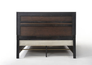 English Elm Black Queen Bed with Storage Drawers, 3D Texture Veneer & Sparkling Trim, No Box Spring Needed B062S00511