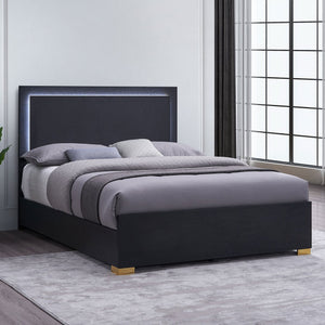 English Elm Mckee White Queen Sleigh Bed with Curved Legs and Low Profile Footboard for Cottage Rooms Black B062S01757