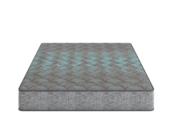 English Elm Restonic Trucomfort Foam Twin Xl Mattress Medium Feel for Dorms and Platform Beds B123P299650