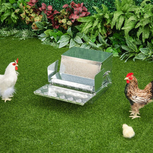 English Elm Pawhut 30 Lbs Automatic Poultry Feeder – Weatherproof, Durable Steel Design For Low-Maintenance Care W2225P217611-GIGA