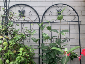 English Elm Metal Garden Trellis Set – 2 Durable Trellises For Climbing Plants, Flowers & Veggies, Easy Install W840P321535