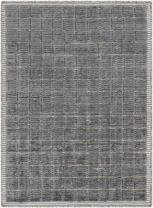 Carre CCR-2302 4' x 6' Handmade Rug CCR2302-46  Charcoal Surya