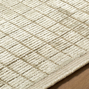 Surya Carre Hand-loomed Viscose Wool Area Rug for Modern Living and Dining Spaces 8'10" x 12' Rectangle CCR2305-81012
