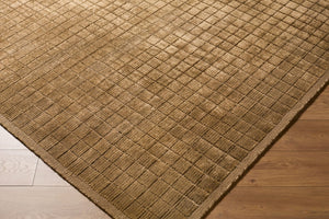 Surya Carre Hand Loomed Wool Viscose Area Rug Artisan Crafted for Living and Dining Rooms 6' x 9' Rectangle CCR2306-69
