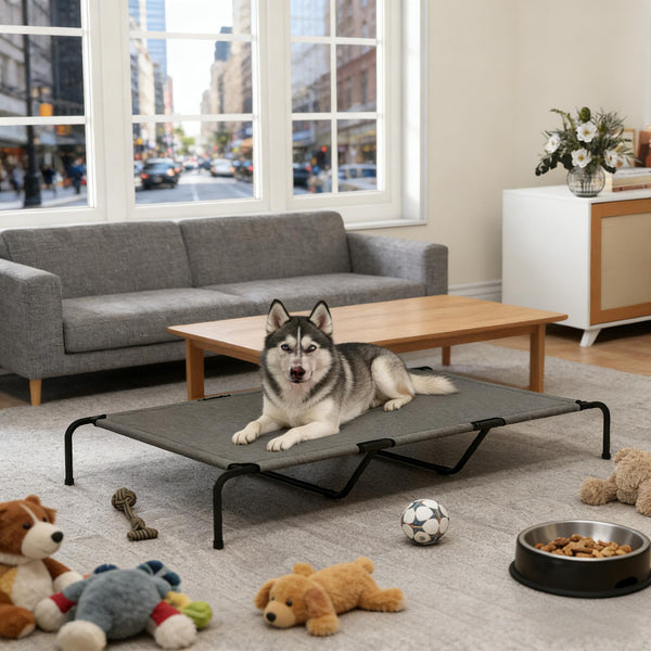 English Elm Large Elevated Dog Bed Powder Coated Steel Frame Teslin Mesh for Extra Big Breeds Black,Gray T3971P440346
