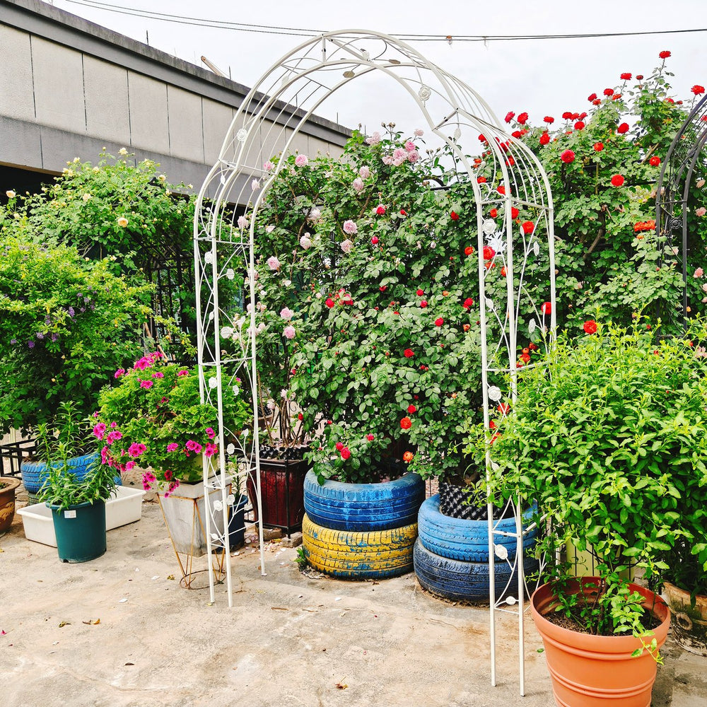 English Elm Metal Gothic Arch Garden Arbor Powder Coated Steel Trellis for Climbing Roses Cream White W158681140