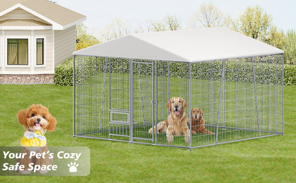 English Elm 10 X 10 Ft Heavy Gauge Steel Outdoor Dog Kennel with Pvc Roof and Feeding Basin W1820S00023