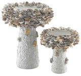 Oyster Shell Bird Bath