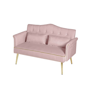 English Elm PINK Velvet 2-Seater Sofa with Gold Metal Legs, Plush Foam Seating, Solid Wood Frame, Elegant Design W588P165686