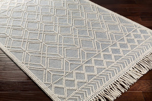 Livabliss Casa Decampo Handwoven New Zealand Wool Flatweave Rug Farmhouse Cottage Accent Ivory, Denim 8' x 10' CDC2300-810