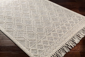 Livabliss Casa Decampo Handwoven New Zealand Wool Flatweave Rug Farmhouse Bohemian Fringe Ivory, Black 2'6" x 10' CDC2301-2610