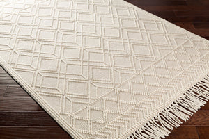 Livabliss Casa Decampo Handwoven New Zealand Wool Flatweave Rug with Fringe Farmhouse Accent Ivory, Light Be 27" x 45" CDC2302-2339