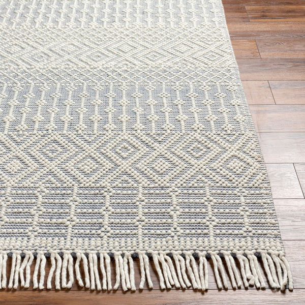 Livabliss Casa Decampo Handwoven Wool Accent Rug with Fringe Bohemian Artisan Floor Textile White, Denim 8'10" x 12' CDC2305-81012