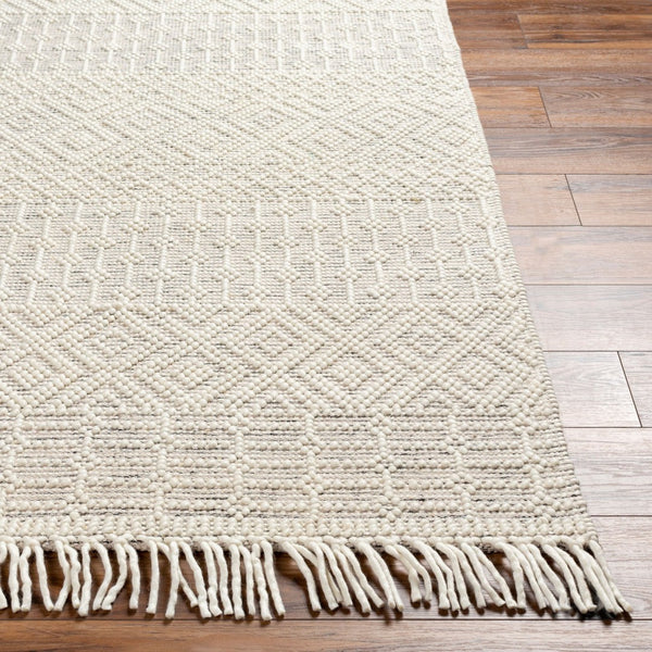 Livabliss Casa Decampo Handwoven Wool Flatweave Rug with Fringe Boho Global Accent CDC2306-2339