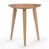 Christopher Knight Home® - Noble House - Hoyt Natural Finish Wood End Table