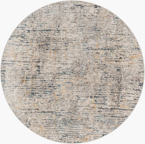 Livabliss Cardiff Geometric Fringe Area Rug Machine Woven Polyester for Large Living Spaces Light Gray, Cha 7'10" x 7'10" CDF2301-710RD