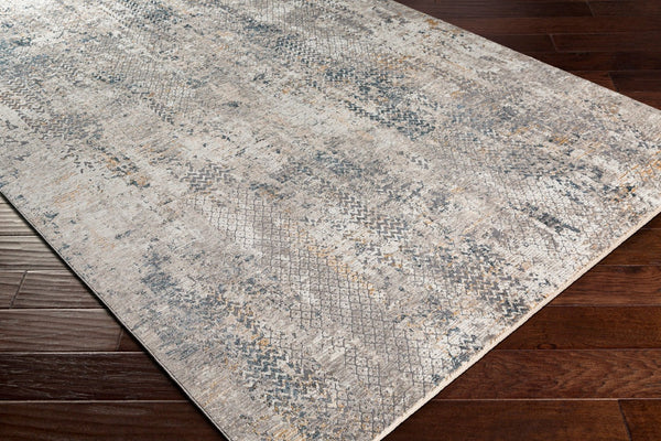Livabliss Cardiff Machine Woven Polyester Area Rug with High Low Texture for Large Living Spaces Light Gray, Cha 6'7" x 6'7" CDF2302-67RD