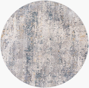 Livabliss Cardiff Machine Woven Polyester Area Rug with High Low Texture for Large Living Spaces Light Gray, Cha 6'7" x 6'7" CDF2302-67RD
