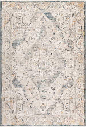 Livabliss Cardiff Medallion Area Rug Turkey Woven Polyester Medium Pile Living Dining Room Medium Gray, Mu 6'7" x 9'6" CDF2303-6796