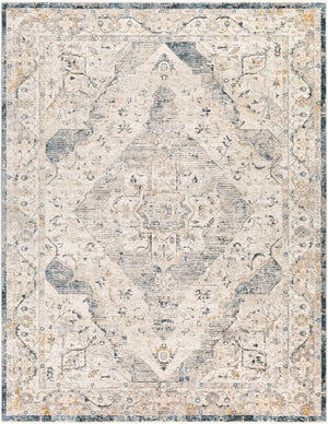 Livabliss Cardiff Medallion Area Rug Turkey Woven Polyester Medium Pile Living Dining Room Medium Gray, Mu 7'10" x 10'2" CDF2303-710103