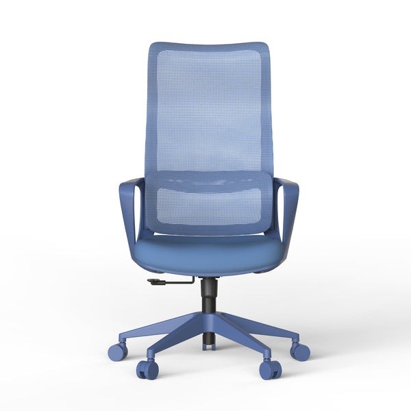 English Elm Ergonomic High Back Mesh Office Chair with Adjustable Lumbar Support and Molded Foam Seat Blue W5280P463575