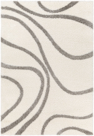 Cloudy Shag CDG-2300 7'10" x 10' Machine Woven Rug CDG2300-71010 Livabliss Surya