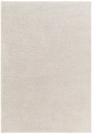 Cloudy Shag CDG-2301 7'10" x 10' Machine Woven Rug CDG2301-71010 Livabliss Surya