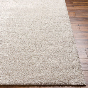 Livabliss Cloudy Plush Polyester Shag Rug for Modern Living Rooms and Minimalist Bedroom Floors Light Beige 5'3" x 7' CDG2301-537