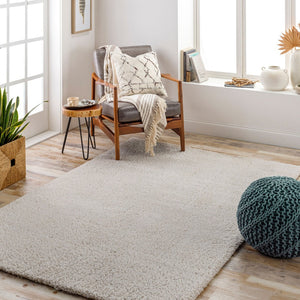 Livabliss Cloudy Plush Polyester Shag Rug for Modern Living Rooms and Minimalist Bedroom Floors Light Beige 5'3" x 7' CDG2301-537