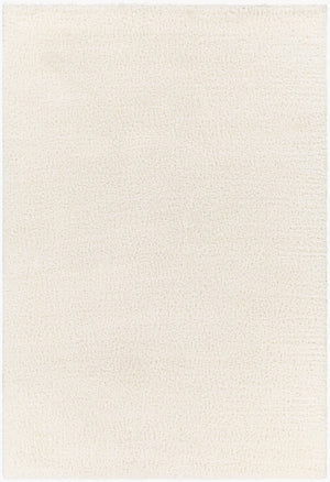 Livabliss Cloudy Plush Polyester Shag Rug Machine Woven Soft Minimalist Living Room Accent White 3'11" x 5'7" CDG2302-31157