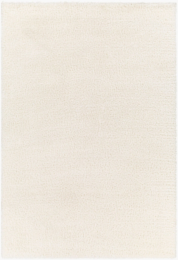 Livabliss Cloudy Plush Polyester Shag Rug Machine Woven Soft Minimalist Living Room Accent White 3'11" x 5'7" CDG2302-31157
