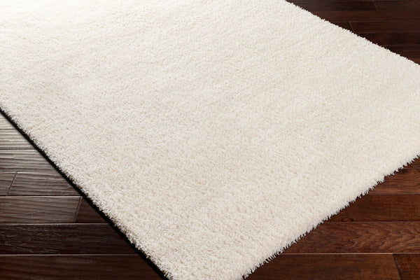 Livabliss Cloudy Plush Polyester Shag Rug Machine Woven Soft Minimalist Living Room Accent White 3'11" x 5'7" CDG2302-31157