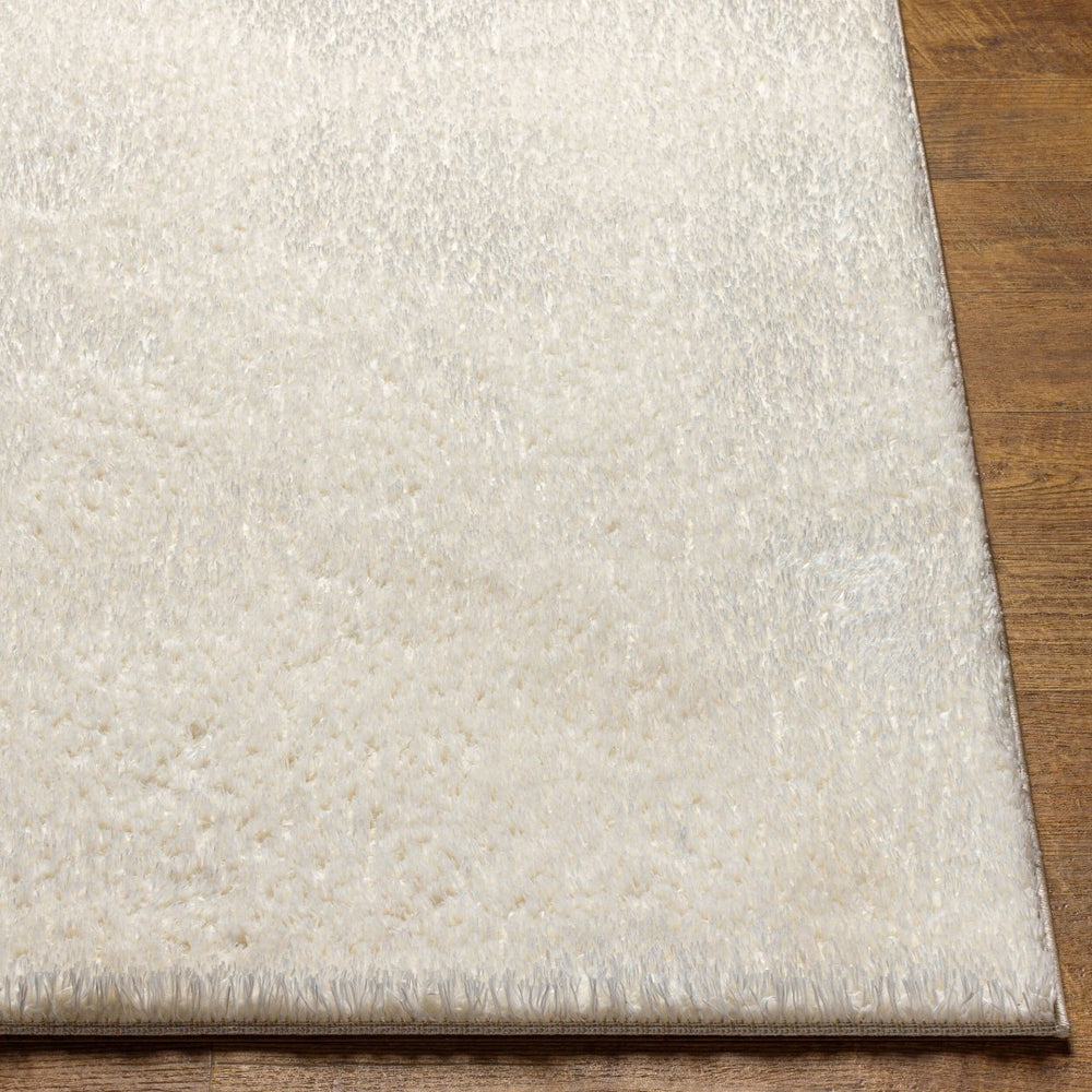 Livabliss Cloudy Plush Polyester Shag Rug Machine Woven Soft Minimalist Living Room Accent White 3'11" x 5'7" CDG2302-31157