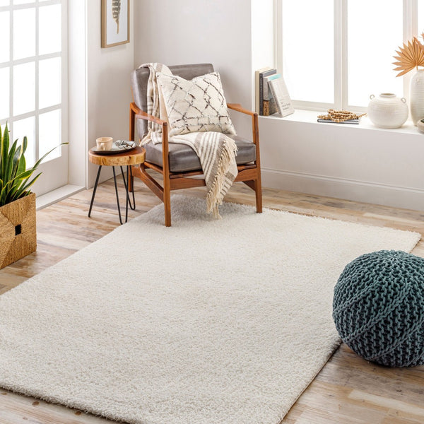 Livabliss Cloudy Plush Polyester Shag Rug Machine Woven Soft Minimalist Living Room Accent White 3'11" x 5'7" CDG2302-31157