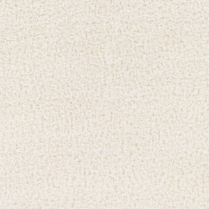 Livabliss Cloudy Plush Polyester Shag Rug Machine Woven Soft Minimalist Living Room Accent White 3'11" x 5'7" CDG2302-31157