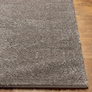Livabliss Cloudy Plush Shag Area Rug Polyester Tonal Pile for Modern Living Rooms and Bedrooms Charcoal 7'10" x 10' CDG2304-71010